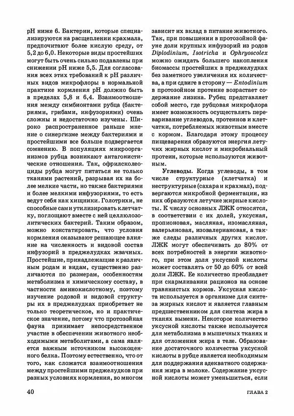 Анатолий Кузнецов - Крупный рогатый скот - Страница № 41