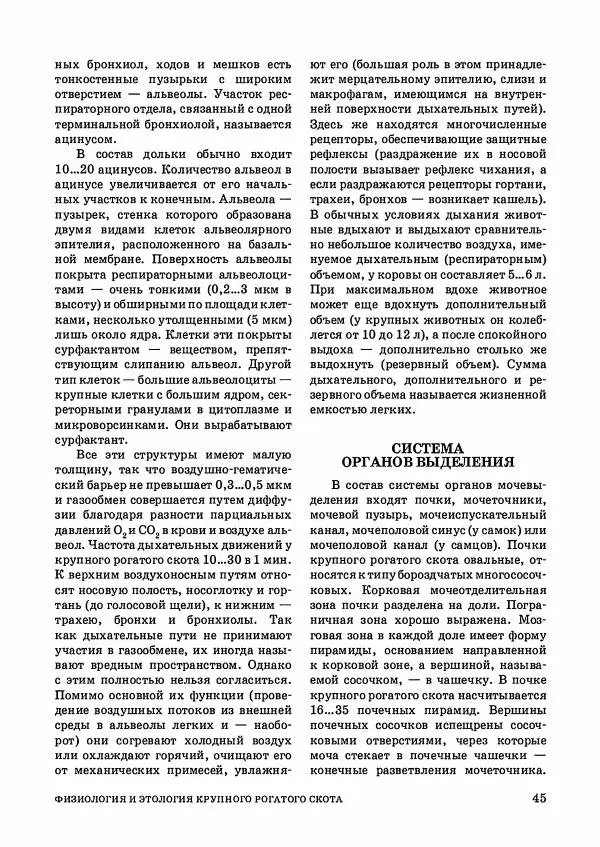 Анатолий Кузнецов - Крупный рогатый скот - Страница № 46