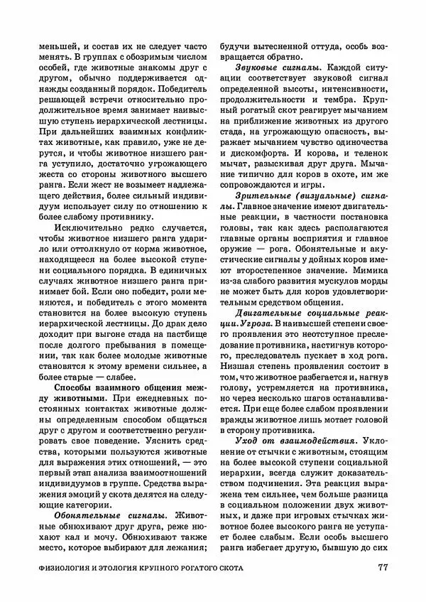 Анатолий Кузнецов - Крупный рогатый скот - Страница № 78