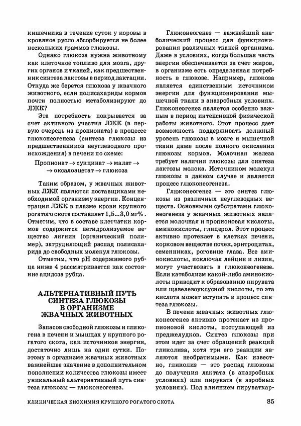 Анатолий Кузнецов - Крупный рогатый скот - Страница № 86