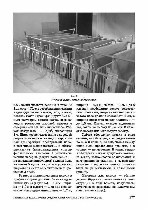 Анатолий Кузнецов - Крупный рогатый скот - Страница № 178