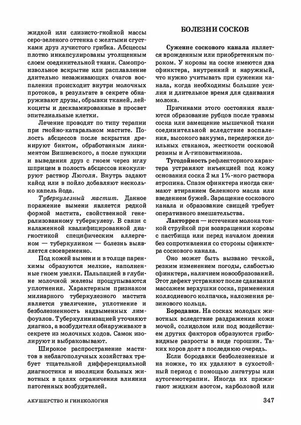 Анатолий Кузнецов - Крупный рогатый скот - Страница № 348