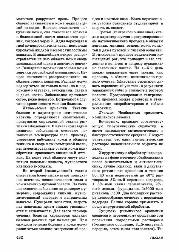 Анатолий Кузнецов - Крупный рогатый скот - Страница № 483