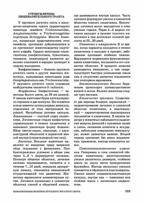 Анатолий Кузнецов - Крупный рогатый скот - Страница № 504