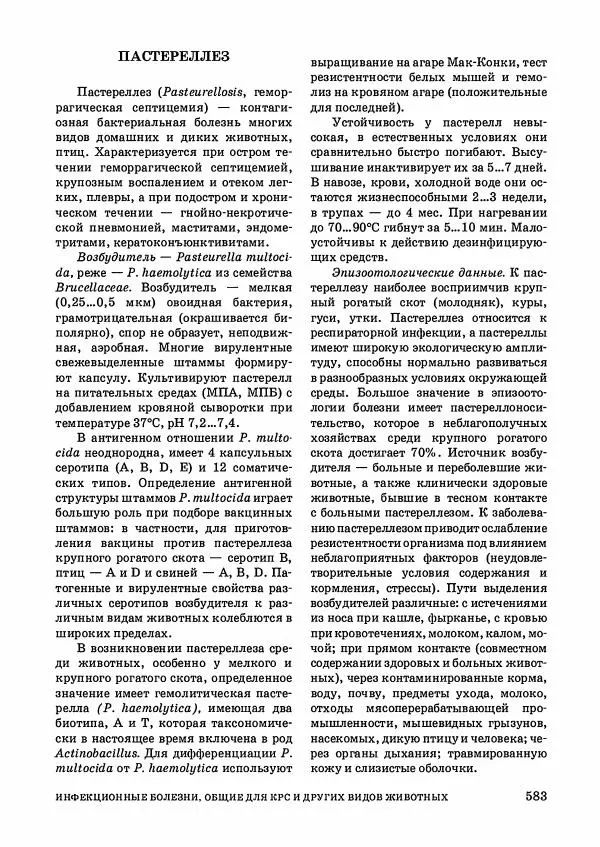Анатолий Кузнецов - Крупный рогатый скот - Страница № 584