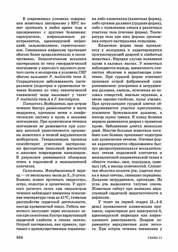 Анатолий Кузнецов - Крупный рогатый скот - Страница № 585
