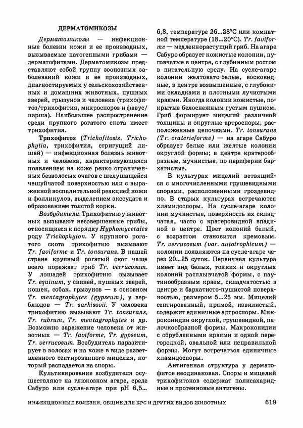 Анатолий Кузнецов - Крупный рогатый скот - Страница № 620