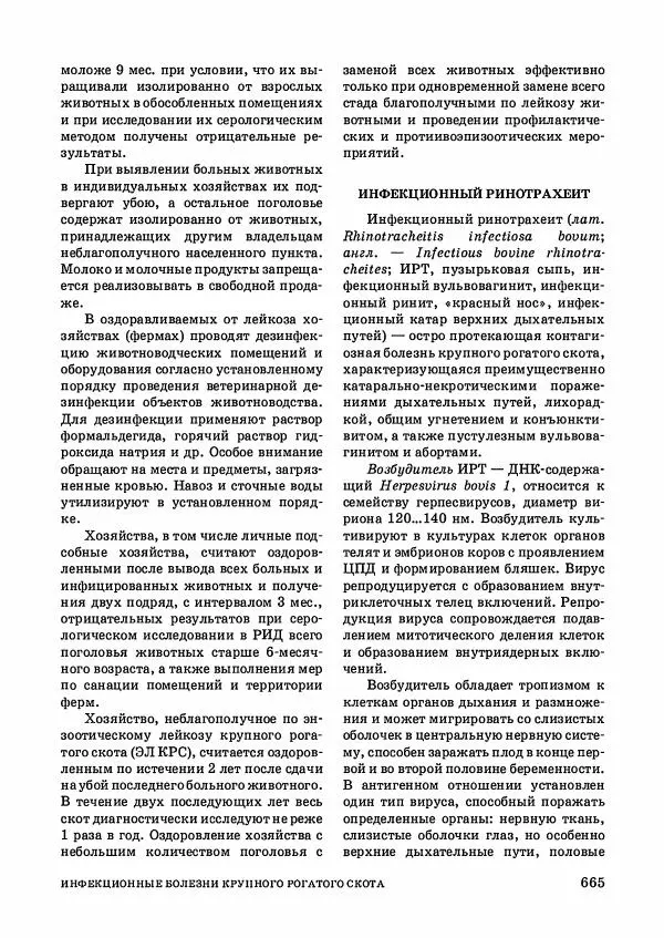 Анатолий Кузнецов - Крупный рогатый скот - Страница № 666