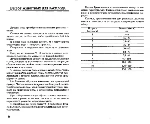  Коллектив авторов - Прибыльное разведение свиней и поросят - Страница № 29