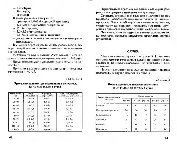  Коллектив авторов - Прибыльное разведение свиней и поросят - Страница № 31