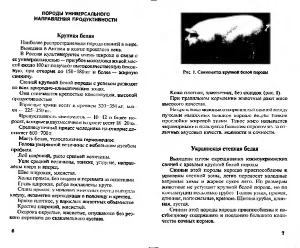  Коллектив авторов - Прибыльное разведение свиней и поросят - Страница № 4