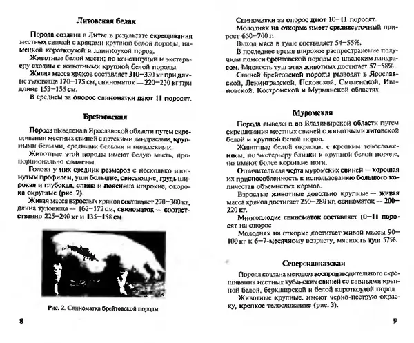  Коллектив авторов - Прибыльное разведение свиней и поросят - Страница № 5