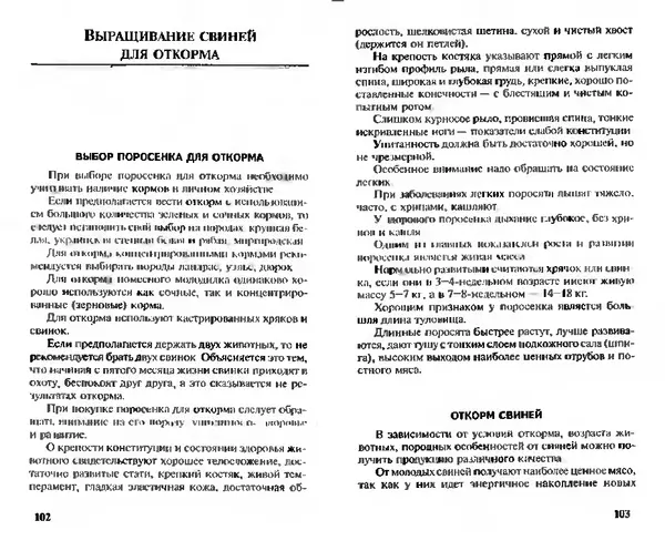  Коллектив авторов - Прибыльное разведение свиней и поросят - Страница № 52