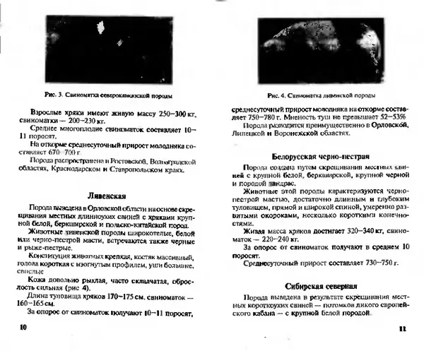  Коллектив авторов - Прибыльное разведение свиней и поросят - Страница № 6