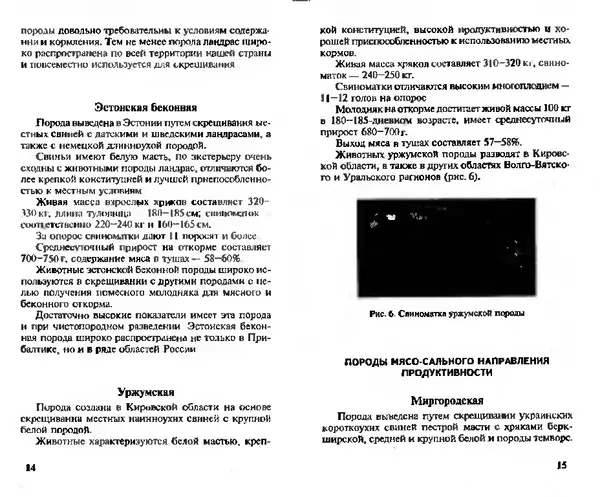 Коллектив авторов - Прибыльное разведение свиней и поросят - Страница № 8