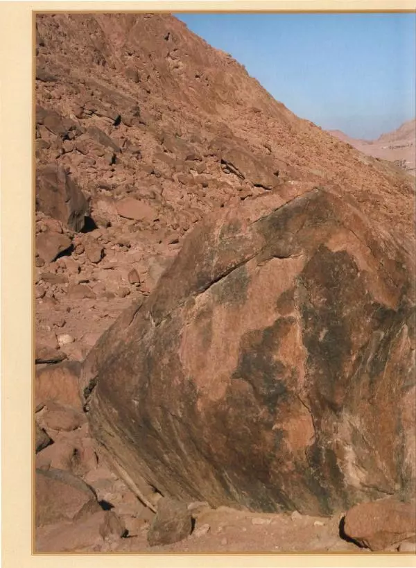 Георгий Юдин - Хождения на Святую Землю - Страница № 67