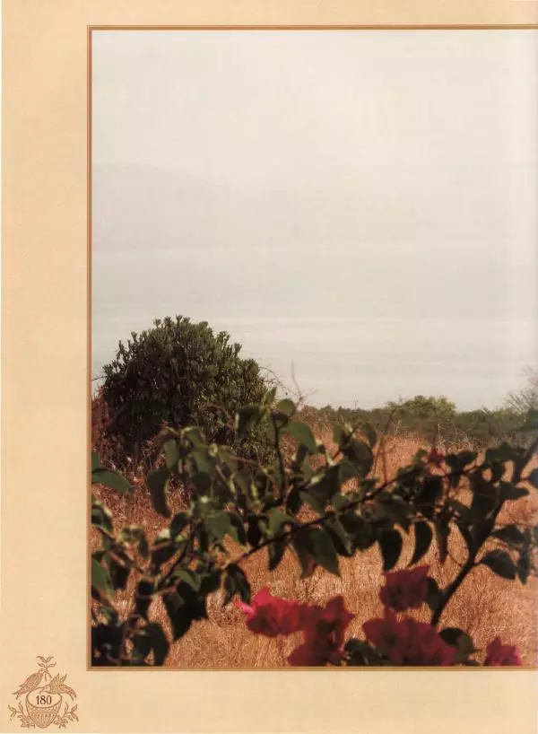 Георгий Юдин - Хождения на Святую Землю - Страница № 197