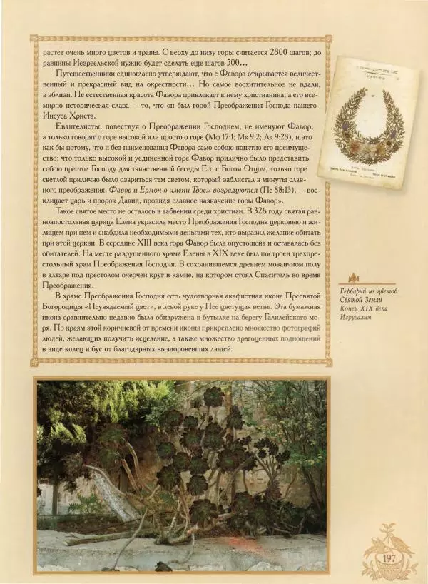 Георгий Юдин - Хождения на Святую Землю - Страница № 214