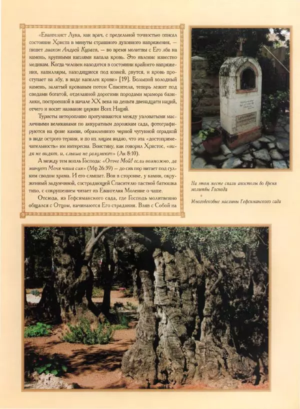 Георгий Юдин - Хождения на Святую Землю - Страница № 242