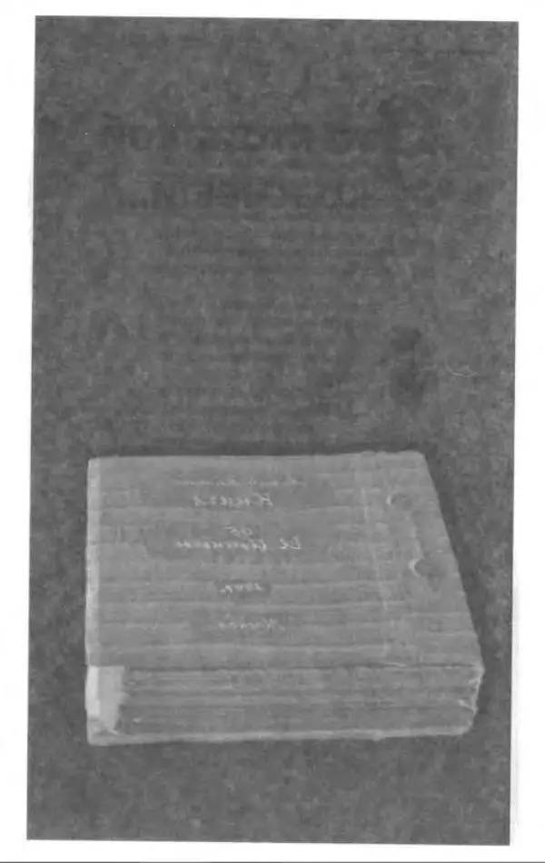 Игорь Иртеньев - Антология сатиры и юмора России ХХ века - Страница № 280