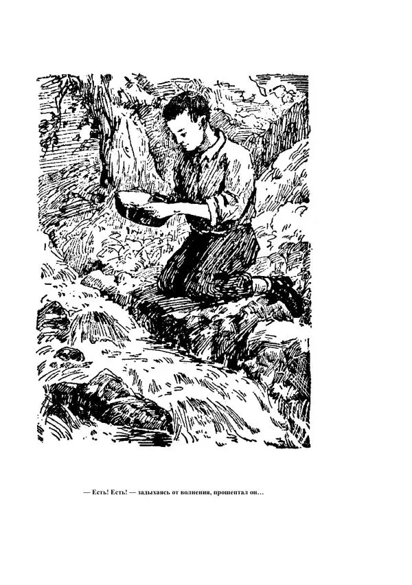 Борис Житков - Стальные птицы - Страница № 335