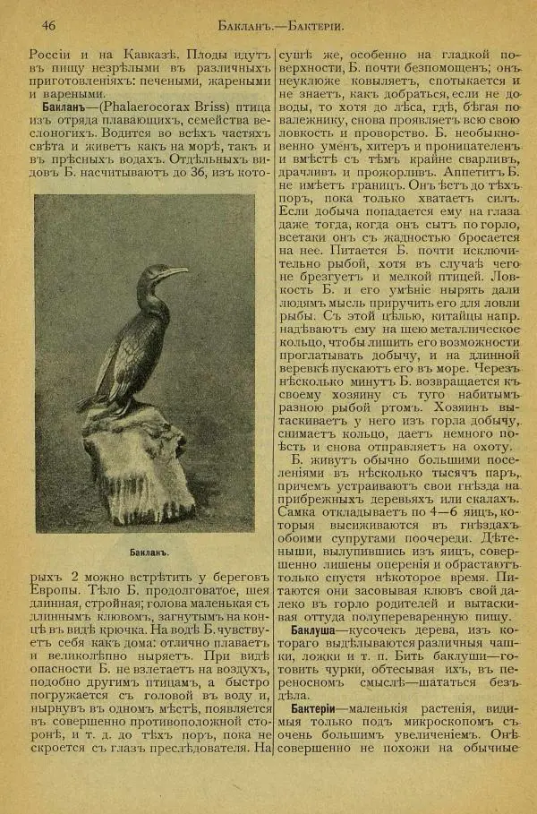 альманах «Детский мир» - Энциклопедический словарь для детей, выпуск 2 (приложение) - Страница № 8