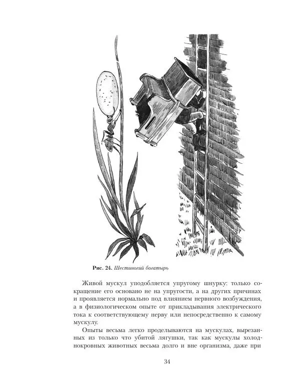 Яков Перельман - Геометрия - Страница № 33