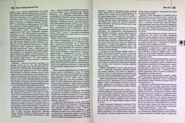 Юрий Новоселов - Дом и усадьба - Страница № 42