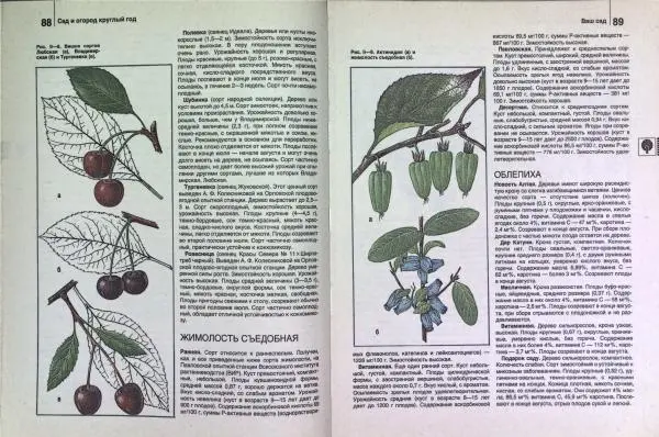 Юрий Новоселов - Дом и усадьба - Страница № 47
