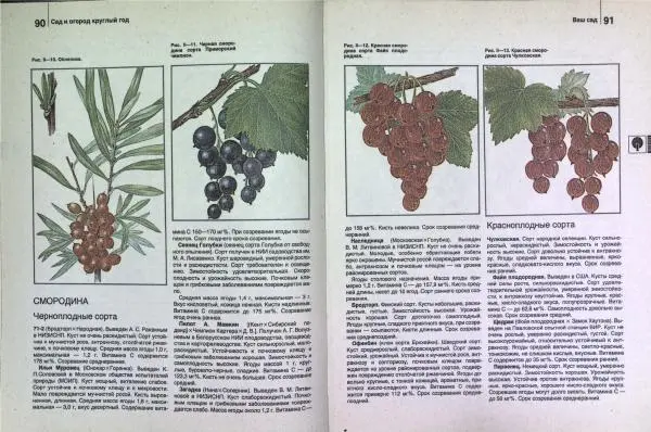 Юрий Новоселов - Дом и усадьба - Страница № 48