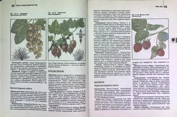 Юрий Новоселов - Дом и усадьба - Страница № 49