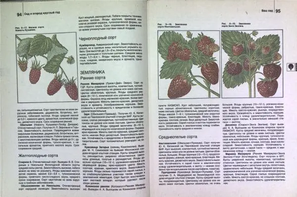 Юрий Новоселов - Дом и усадьба - Страница № 50