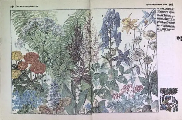 Юрий Новоселов - Дом и усадьба - Страница № 86