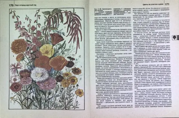 Юрий Новоселов - Дом и усадьба - Страница № 89