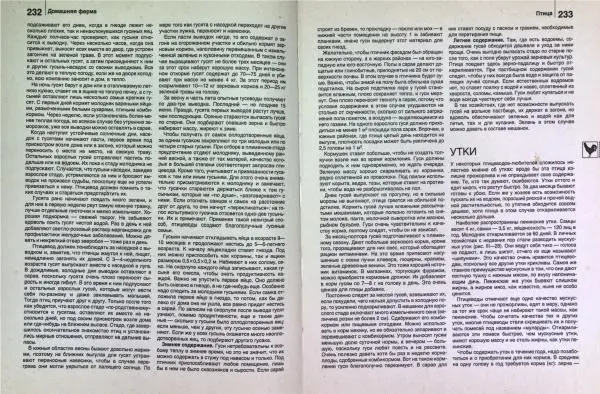 Юрий Новоселов - Дом и усадьба - Страница № 120