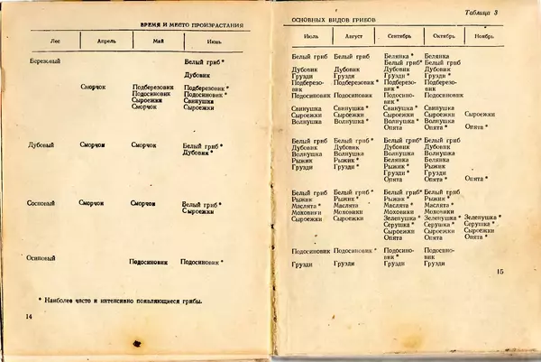 Владимир Тойбис - За грибами - Страница № 10 Владимир Тойбис - За грибами - Страница № 10