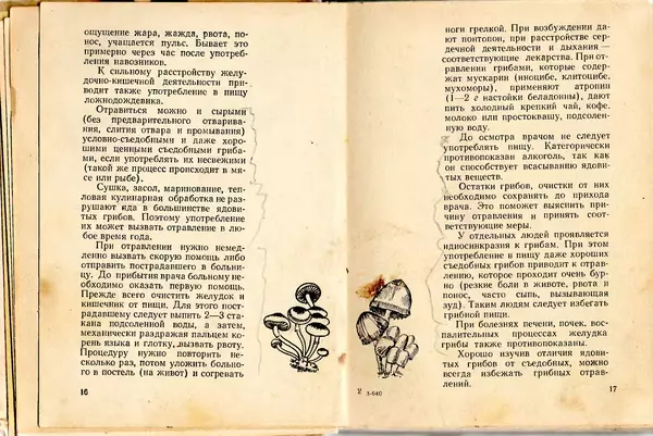 Владимир Тойбис - За грибами - Страница № 11 Владимир Тойбис - За грибами - Страница № 11