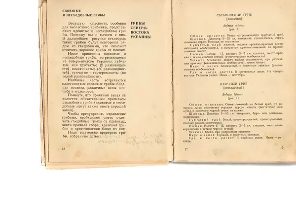 Владимир Тойбис - За грибами - Страница № 12 Владимир Тойбис - За грибами - Страница № 12