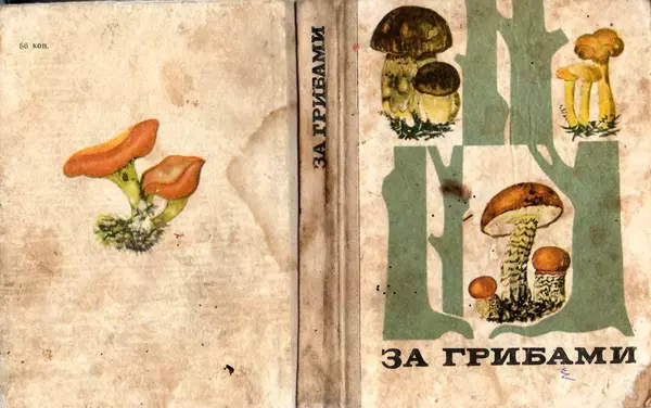 Владимир Тойбис - За грибами - Страница № 2 Владимир Тойбис - За грибами - Страница № 2