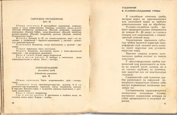 Владимир Тойбис - За грибами - Страница № 23 Владимир Тойбис - За грибами - Страница № 23