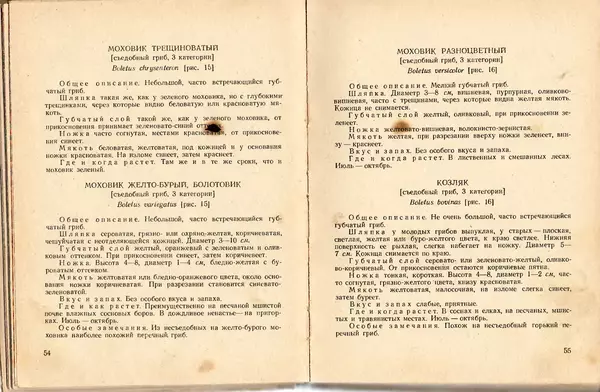 Владимир Тойбис - За грибами - Страница № 30 Владимир Тойбис - За грибами - Страница № 30