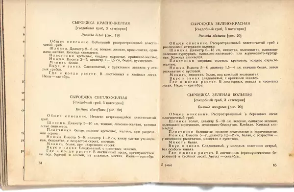 Владимир Тойбис - За грибами - Страница № 35 Владимир Тойбис - За грибами - Страница № 35