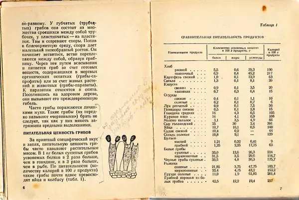 Владимир Тойбис - За грибами - Страница № 6 Владимир Тойбис - За грибами - Страница № 6