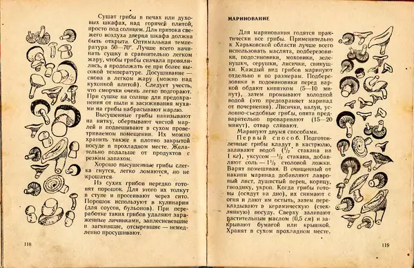 Владимир Тойбис - За грибами - Страница № 62 Владимир Тойбис - За грибами - Страница № 62