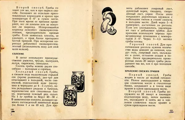 Владимир Тойбис - За грибами - Страница № 63 Владимир Тойбис - За грибами - Страница № 63