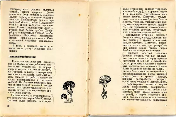 Владимир Тойбис - За грибами - Страница № 9 Владимир Тойбис - За грибами - Страница № 9
