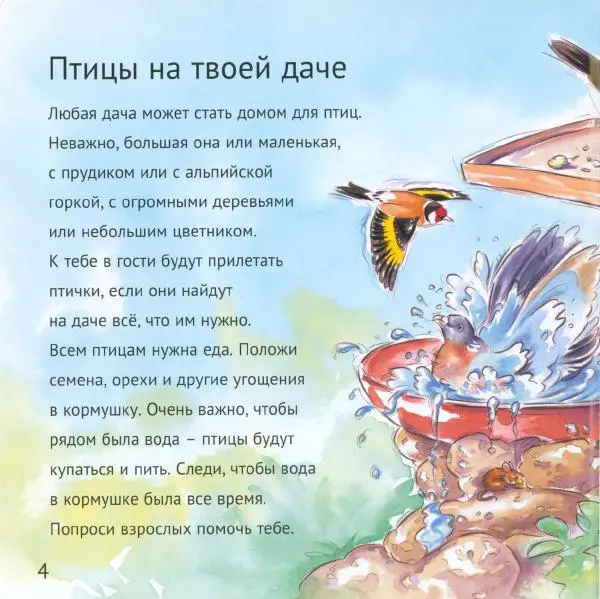 Майк Анвин - Кто живёт у нас на даче. Птицы - Страница № 7