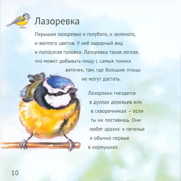 Майк Анвин - Кто живёт у нас на даче. Птицы - Страница № 13