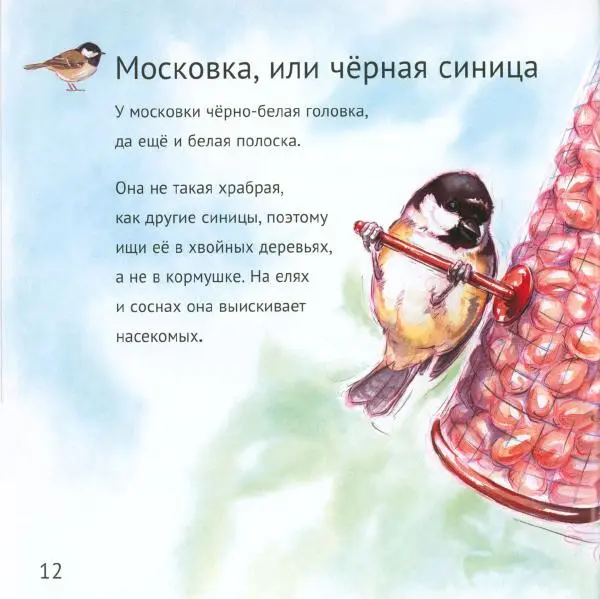 Майк Анвин - Кто живёт у нас на даче. Птицы - Страница № 15