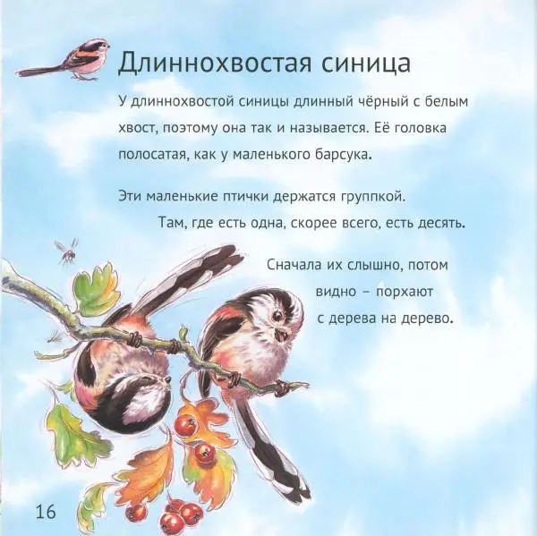 Майк Анвин - Кто живёт у нас на даче. Птицы - Страница № 19